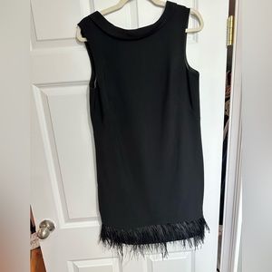 Ann Taylor feather dress